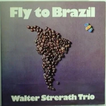 Fly To Brazil