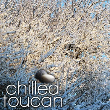 Chilled Toucan