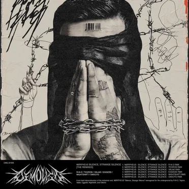 Silence, Strange Silence (The Remixes)
