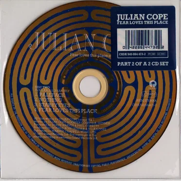 Fear Loves This Place