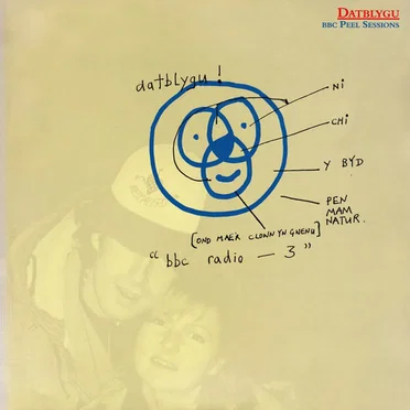 BBC Peel Sessions by Datblygu - album cover