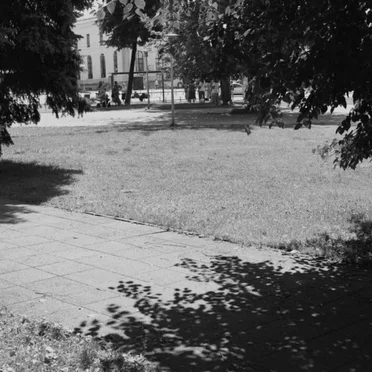 Talia b/w Taxying