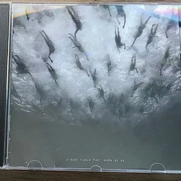 Disse fugle får ingen at se by Morild - album cover