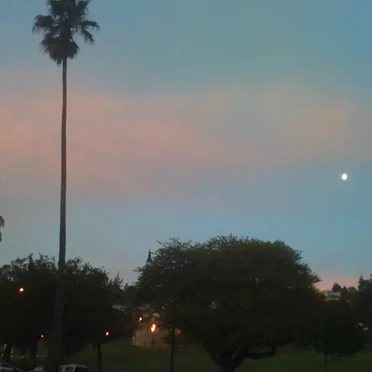 The Dolores Park