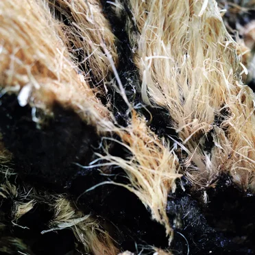 Two Views Of Amami Ōshima