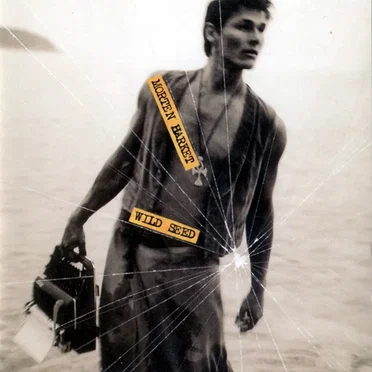 Wild Seed by Morten Harket - album cover