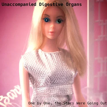 Unaccompanied Digestive Organs