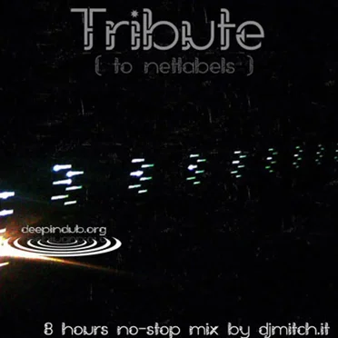 Tribute to Netlabels DJ Set by djmitch.it - album cover