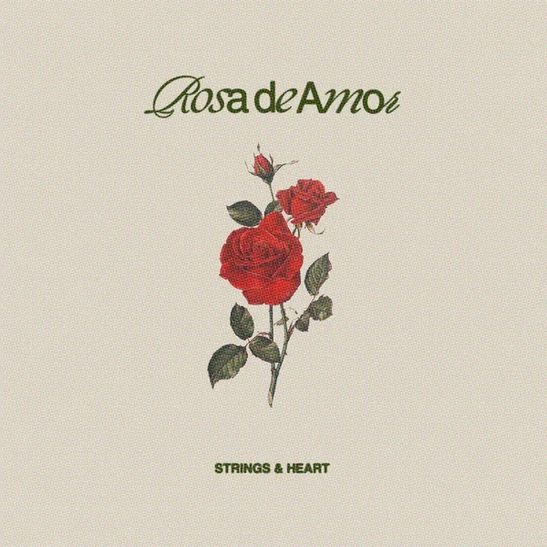 rosa de amor