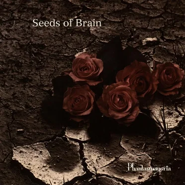 Seeds of Brain