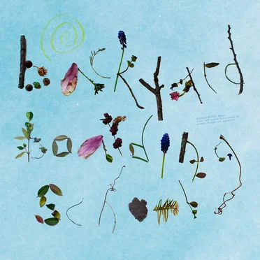 Backyard Boarding School by Butch Wifey - album cover