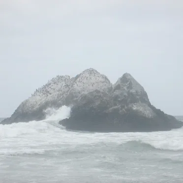 Mother's Day Weekend: Mother's Day