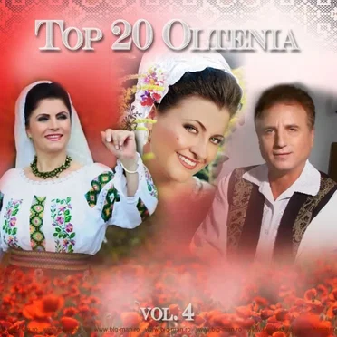 Top 20 Oltenia Vol. 4 by Various Artists - album cover