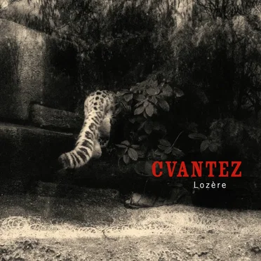 Cvantez