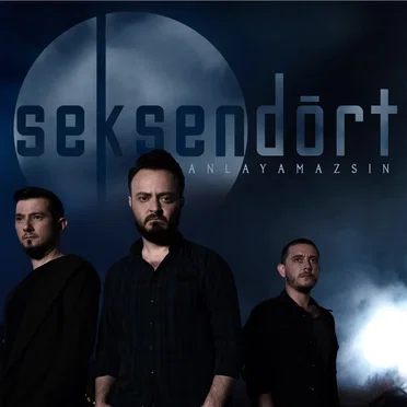 Anlayamazsın by Seksendört - album cover