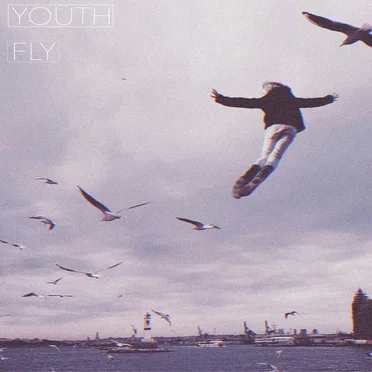 Fly by Youth - album cover