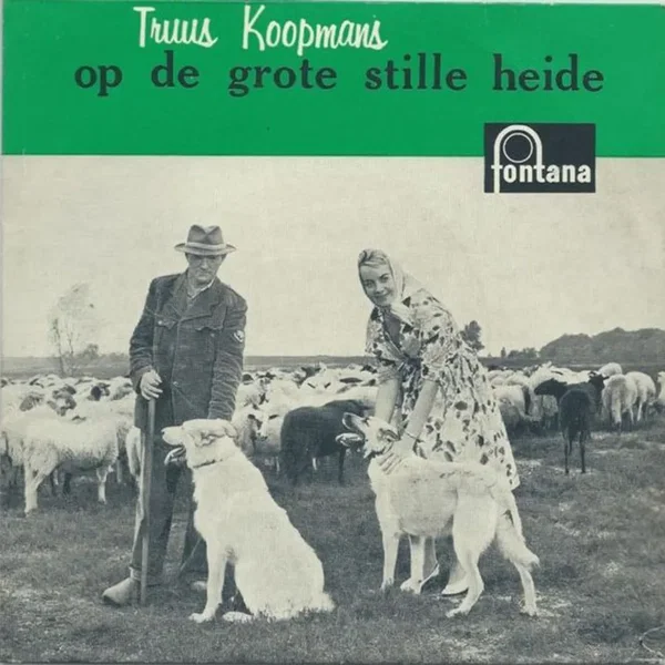 Op de grote stille heide