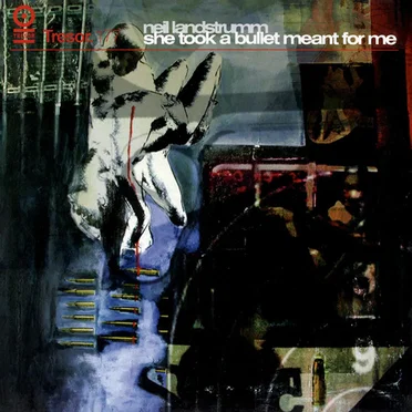 She Took a Bullet Meant for Me