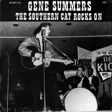 The Southern Cat Rocks On