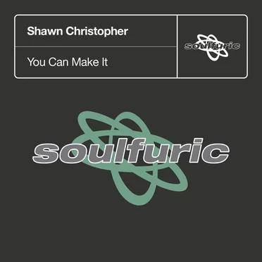 You Can Make It by Shawn Christopher - album cover