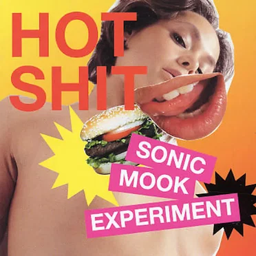 Sonic Mook Experiment 3: Hot Shit by Various Artists - album cover