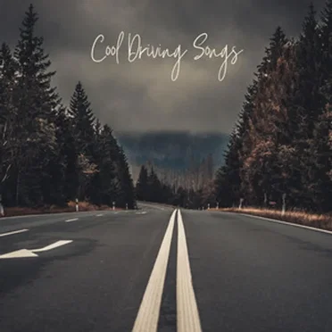 Cool Driving Songs by Various Artists - album cover