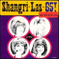 The Shangri‐Las artist image