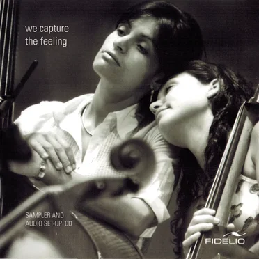 We Capture the Feeling by Various Artists - album cover