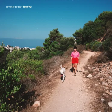 ענבים שחורים