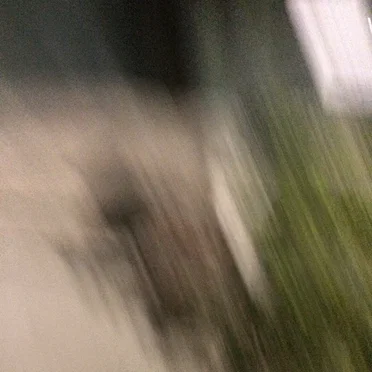 so i fell in a river