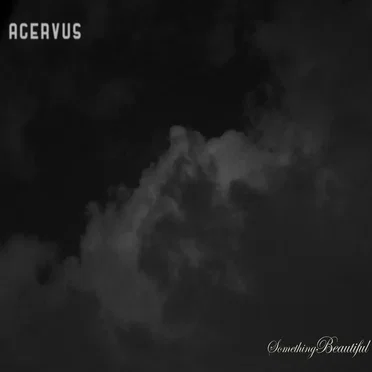 Something Beautiful by Acervus - album cover