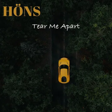 Tear Me Apart by HÖNS - album cover