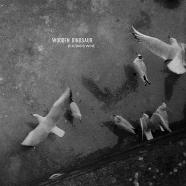Rhubarb Wine by Wooden Dinosaur - album cover