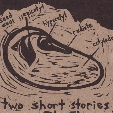Two Short Stories by Jayber Crow - album cover