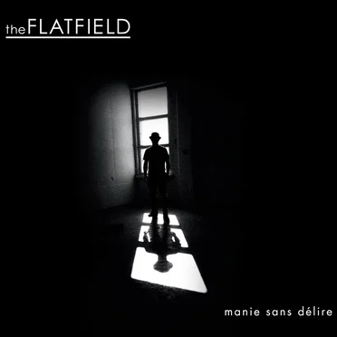 manie sans délire by The Flatfield - album cover