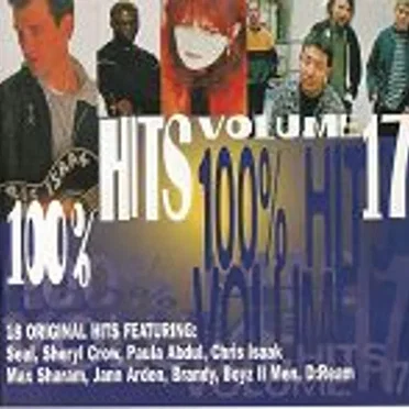 100% Hits, Volume 17 by Various Artists - album cover