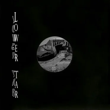 Stung EP by Lower Tar - album cover