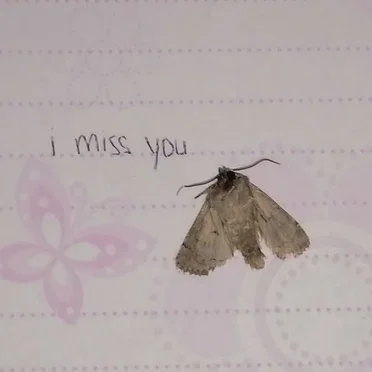 i miss you by faded polaroid dreams - album cover