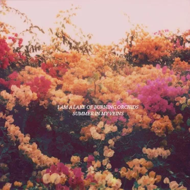 Summer in My Veins by I Am a Lake of Burning Orchids - album cover