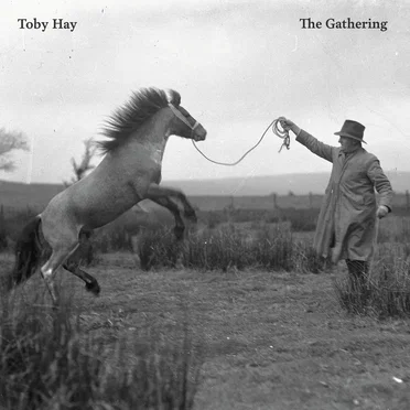 The Gathering by Toby Hay - album cover