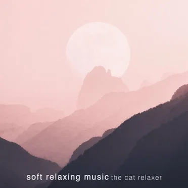 Soft Relaxing Music