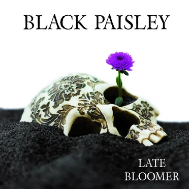 Late Bloomer by Black Paisley - album cover