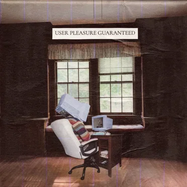User Pleasure Guaranteed by Analogue Heart - album cover