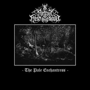 The Pale Enchantress by A Portrait of Flesh and Blood - album cover