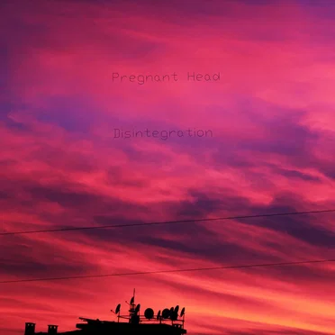 Disintegration by Pregnant Head - album cover