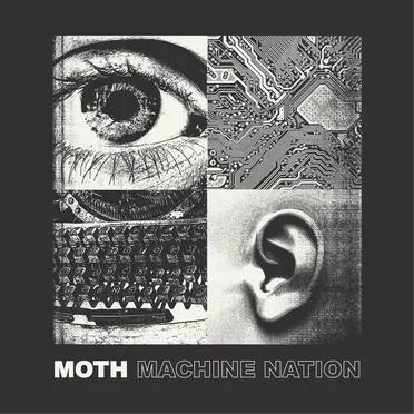Moth