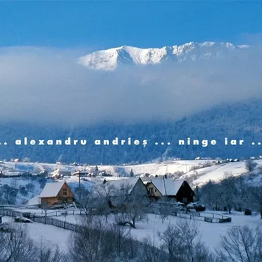 Ninge iar