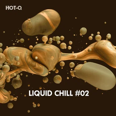 Liquid Chill, Vol. 02 by Various Artists - album cover