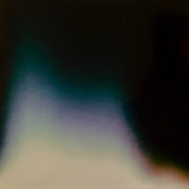 The Polaroid Series