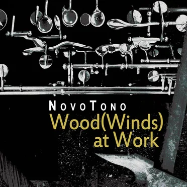 Wood (Winds) At Work by NovoTono - album cover